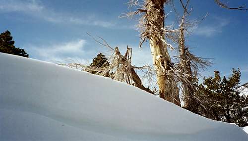 Snowbank on Climb of Galena Peak