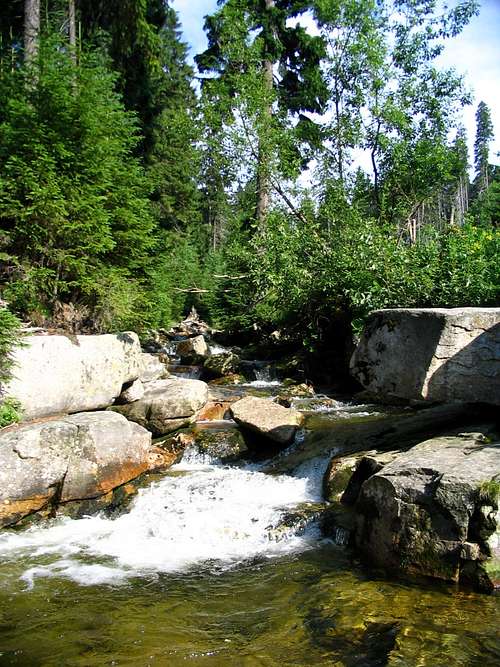 A brook near crossroad 'Krakonošova snídanì',Krkonoše.8/2005