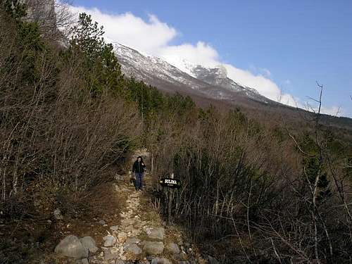 trail to buljma, beneath vaganski vrh
