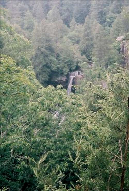 Falls Creek Falls