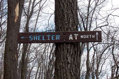 Shelter to the Left