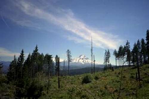 Mount Hood from the south...