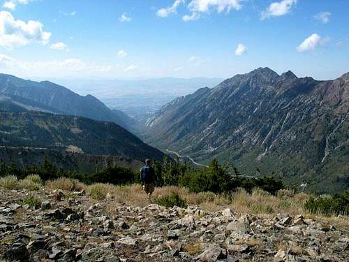 Little Cottonwood Canyon from Mount Baldy