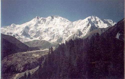 Nanga Parbat (8126-M)