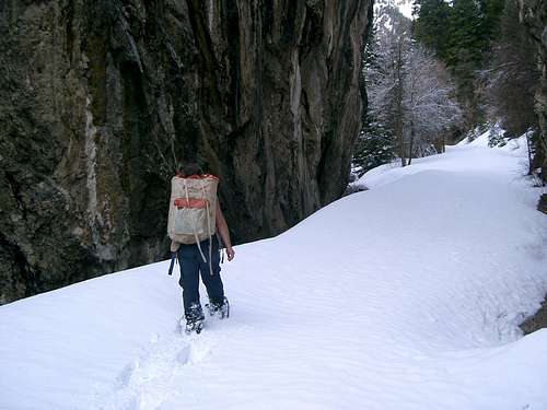 Snowshoeing through Upper Narrows