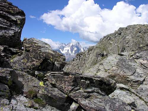 Les Grandes Jorasses <i>(4208 m)</i> seen from the vicinity of Becca Pouignenta
