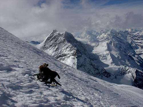 Mr. Donkey on the summit with Jungfrau in the backround