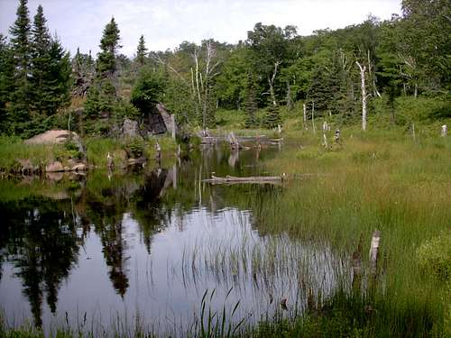 Small Pond near Daisy Farm