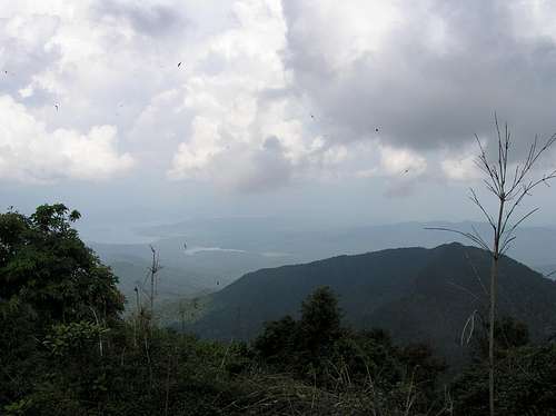 summit view 1