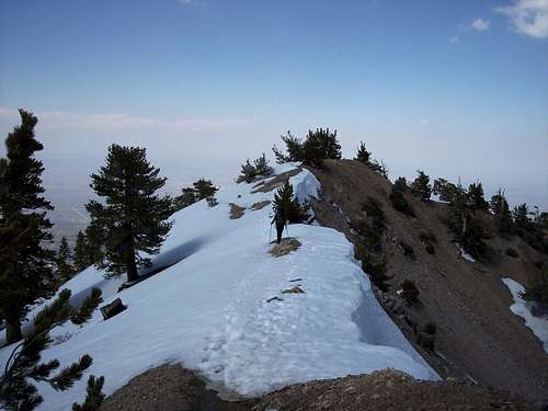 Descent from Summit to Pacific Crest Trail Junction