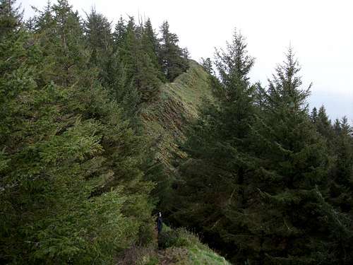South Facing Ridgeline to the East of the Summit