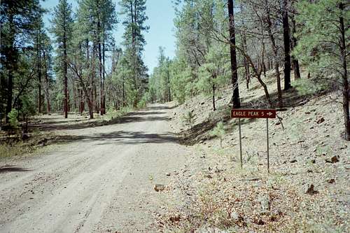 Forest Road 38