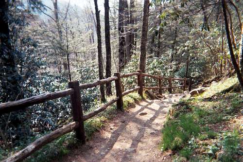 Lush Trail