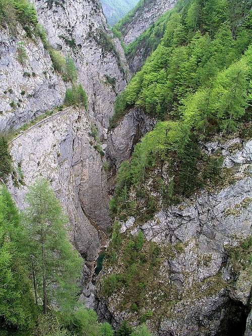 The Lumiei Gorge