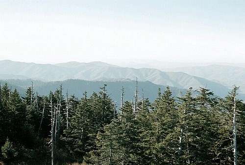 Northwest of Clingmans Dome