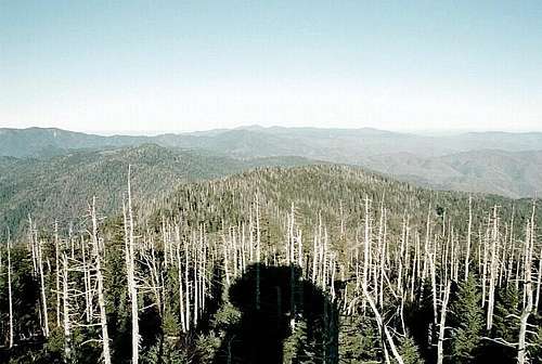 Northeast of Clingmans Dome