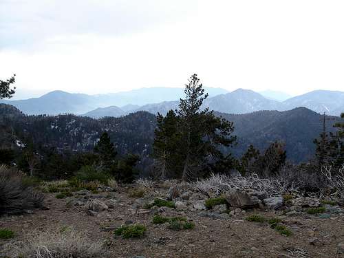 Summit View - Twin Peaks