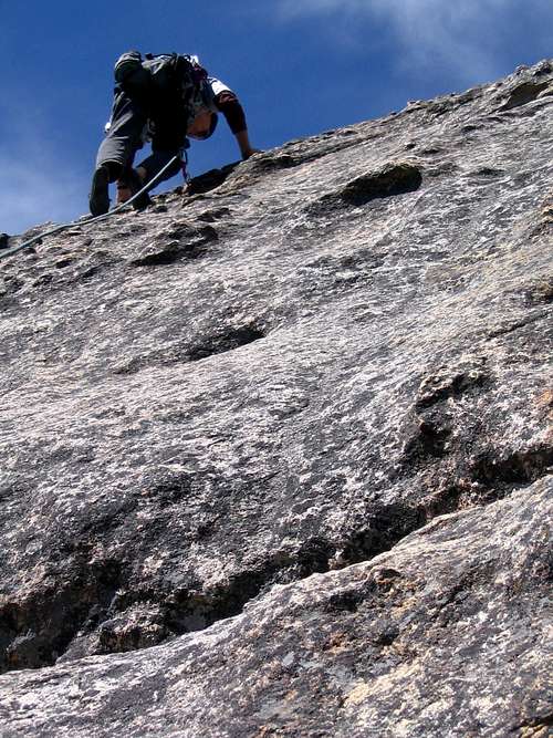 Sequoia climber