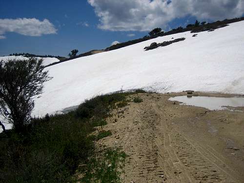 Snow Drifts-Late May