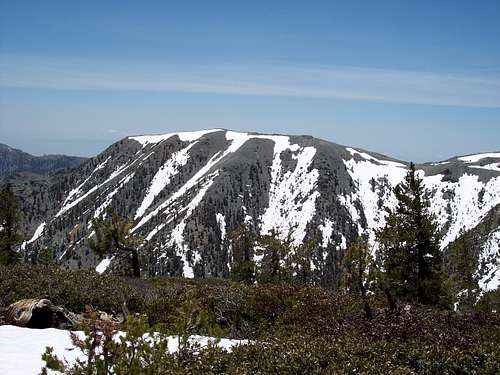 View of Mt. Harwood (Little Baldy) from Dawson Peak