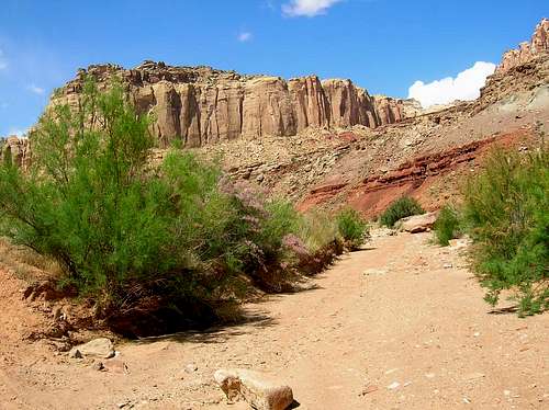 Following the wash in Chute Canyon