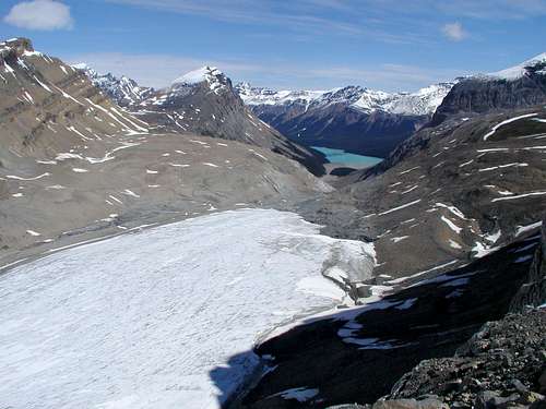 Peyto Glacier