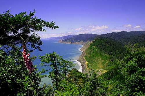 Loast Coast Trail