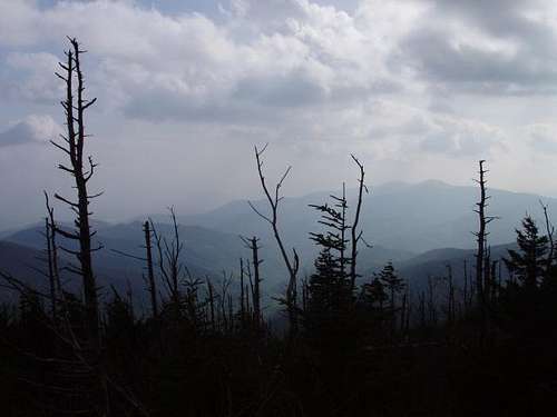 View from the top of Clingmans Dome
