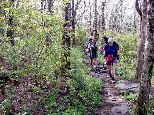 Hiking the Springer Mountain Trail