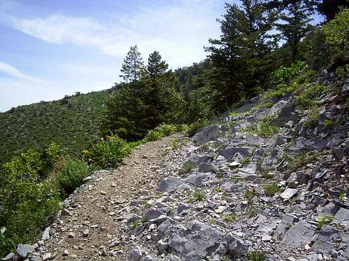 Lower part of the trail