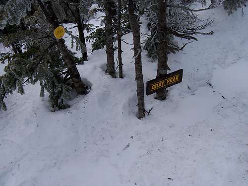 Summit sign on Gray Peak
