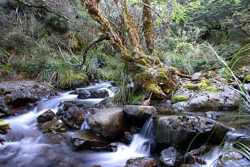Waterfall on the Speargrass Track to Mt. Angelus