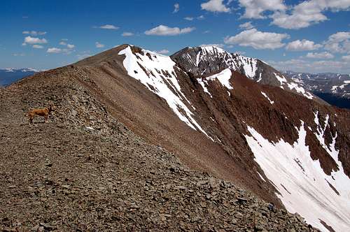 Mount Guyot's South Ridge