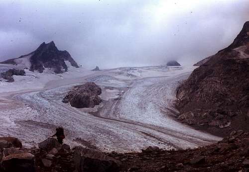 Honeycomb Glacier 1977