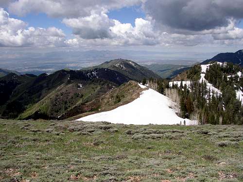 Viewed from Lookout Peak
