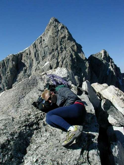 taking a nap on the summit of...