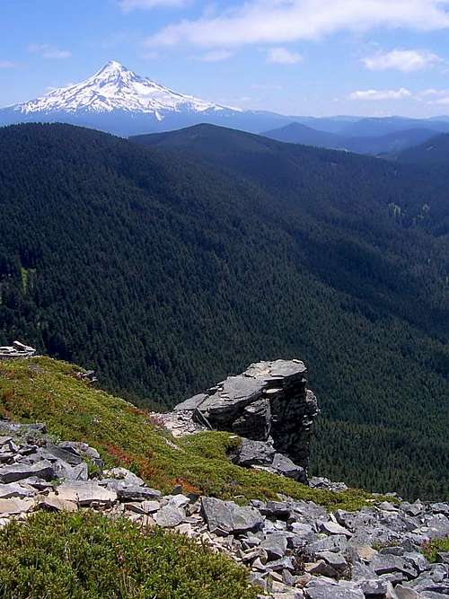 Mount Hood from Chinidere