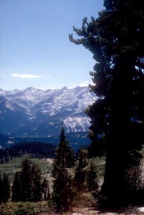 Alta Meadow as seen from Alta Peak