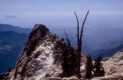 Ridge on southwest flank of Alta Peak