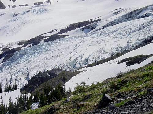 Coleman and Roosevelt Glaciers