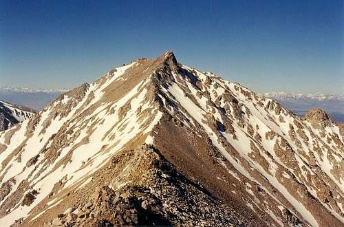 Montgomery Peak (13,441 ft)...