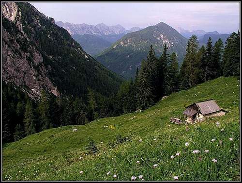 Jagoutz alpine meadow