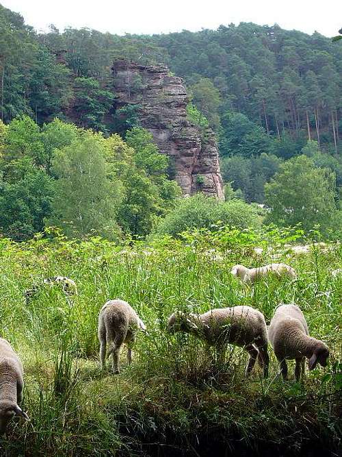 Exploring the Countryside