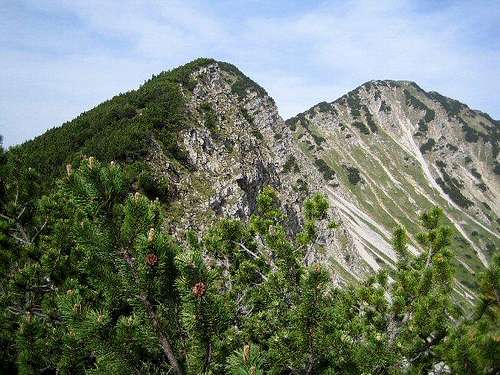 Notkarspitze Summit