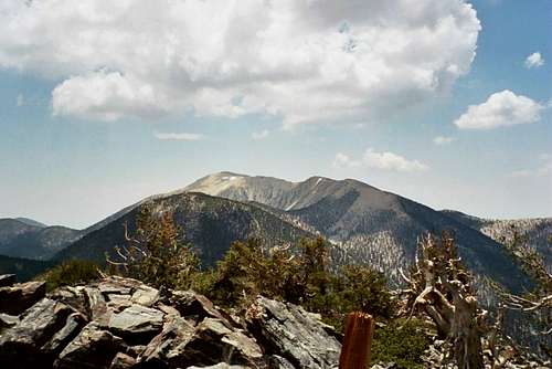 San Gorgonio Mountain, San Bernardino Mtns.