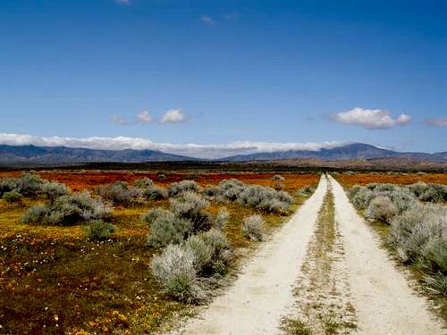 Dirt road near the CA Poppy Reserve
