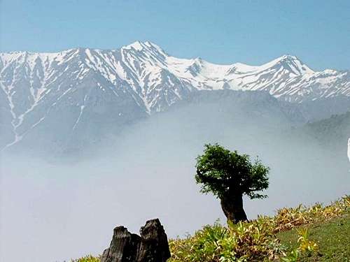 IRAN--Snowy Summits to Steamy Forests