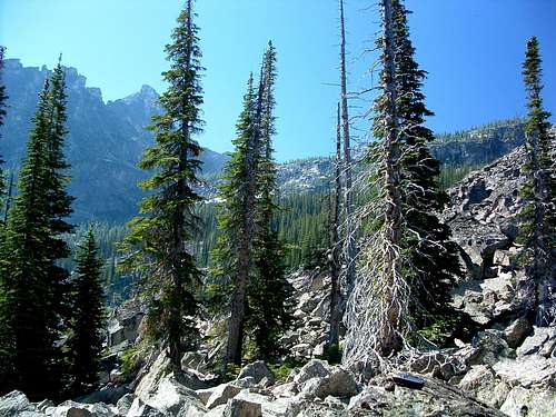 Talus Field