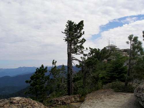 Mule Peak Lookout
