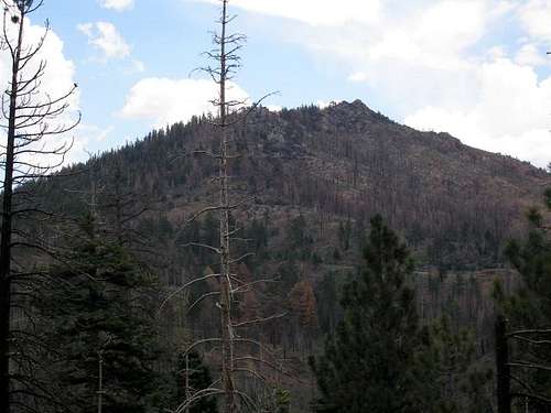 Bald Mtn from the Sherman Pass Road